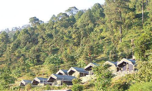 Camping in Nainital - Naina Devi Jungle Camp Mangoli