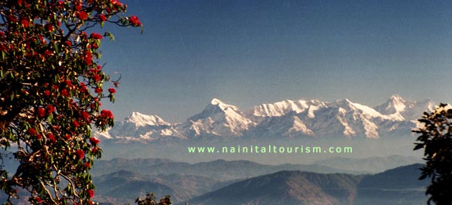 Mighty Glittering Himalayan Range from Nainital