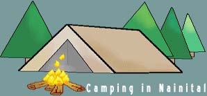 CAMPING IN NAINITAL | CAMP IN NAINITAL | CAMPS IN NAINITAL | BONFIRE CAMP IN JUNGLE | BONFIRE CAMP IN NAINITAL school excursion | school picnic | school camps | school tour | group tour | college excursion | college picnic | college camps | college tour