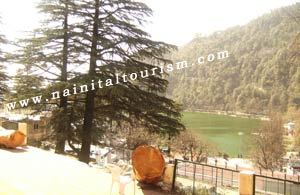 BUY A COTTAGE IN NAINITAL