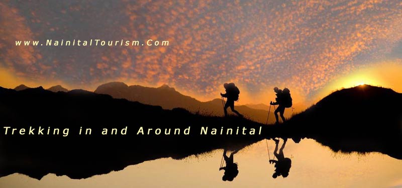 Trekking Options in and Around Nainital