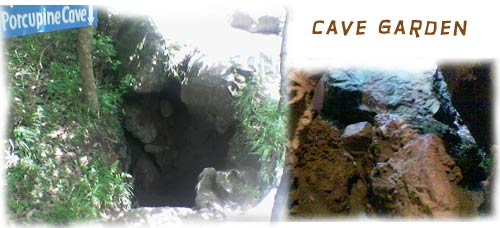 Cave Gardens Nainital