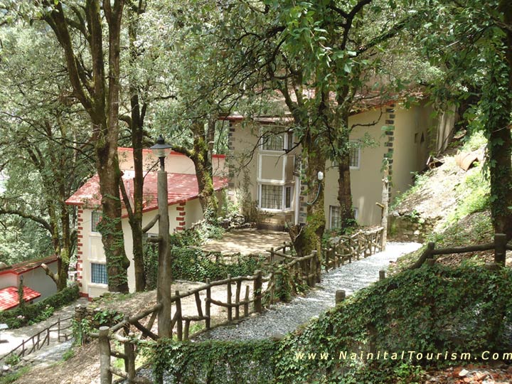 Old Groove Nainital - INDEPENDENT COTTAGES