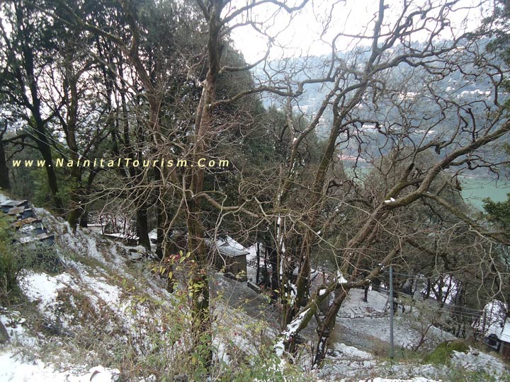 Old Groove Nainital - SNOW AT SITE