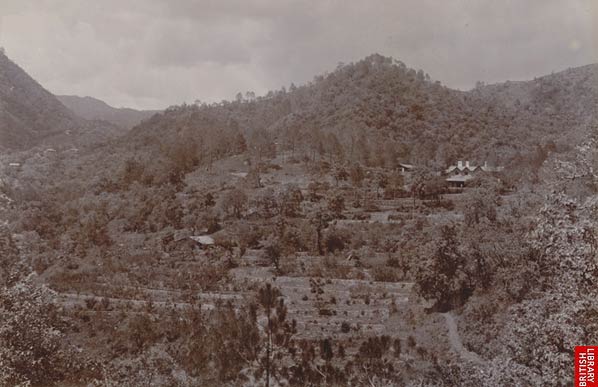 www.nainitaltourism.com