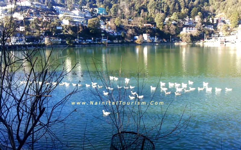 Nainital  Photo Gallery