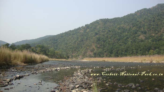 Corbett National Park