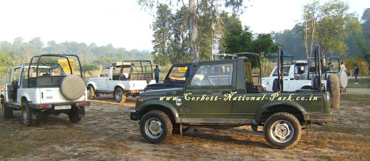 Corbett National Park