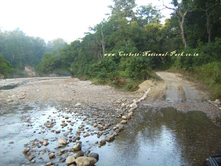 Corbett National Park