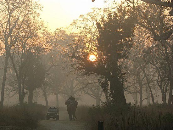 Corbett National Park is regarded as the heaven for Tigers