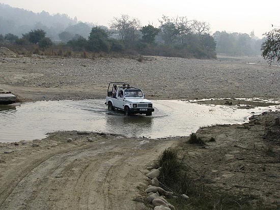 PHOTO GALLERY OF CORBETT NATIONAL PARK