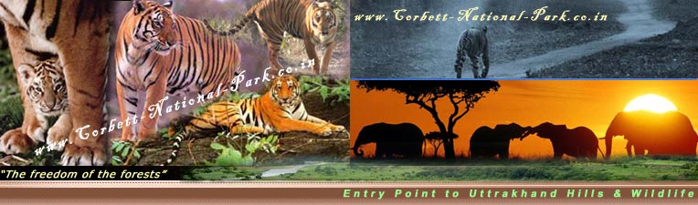 How To Reach - Corbett National Park