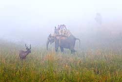 JIM CORBETT NATIONAL PARK