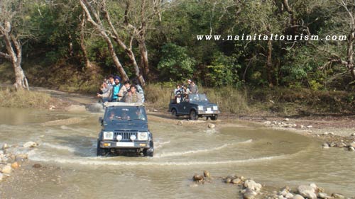 JIM CORBETT NATIONAL PARK