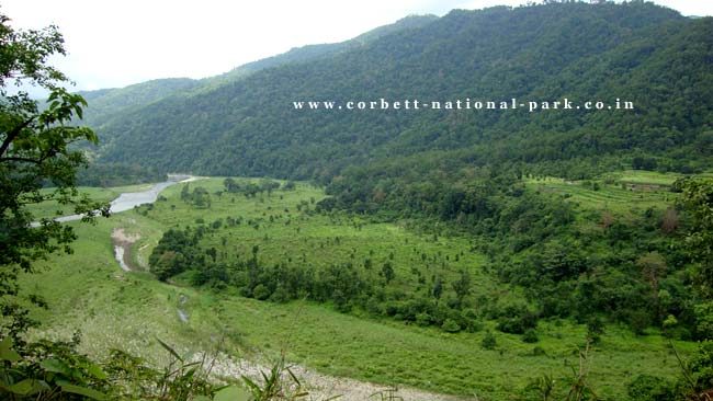 PHOTO GALLERY OF CORBETT NATIONAL PARK