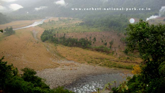 PHOTO GALLERY OF CORBETT NATIONAL PARK