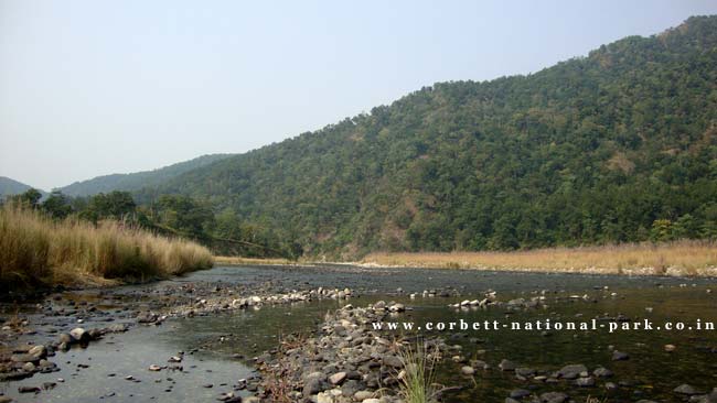 PHOTO GALLERY OF CORBETT NATIONAL PARK