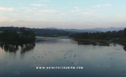 PHOTO GALLERY OF CORBETT NATIONAL PARK