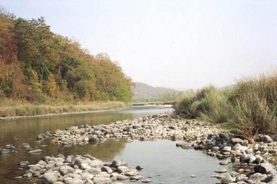 PHOTO GALLERY OF CORBETT NATIONAL PARK