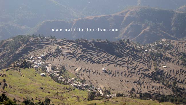 Ranikhet - The Stairway To Heaven