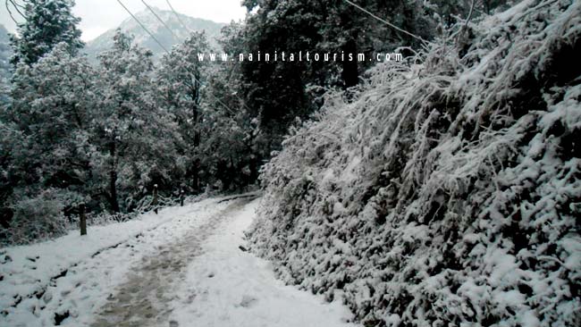 NAINITAL TOURISM : PICTURE GALLERY OF SNOWFALL