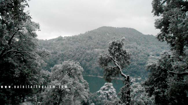 NAINITAL TOURISM : PICTURE GALLERY OF SNOWFALL