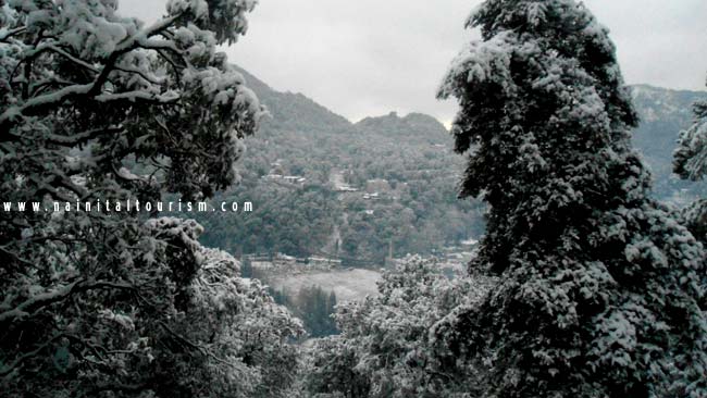 NAINITAL TOURISM : PICTURE GALLERY OF SNOWFALL