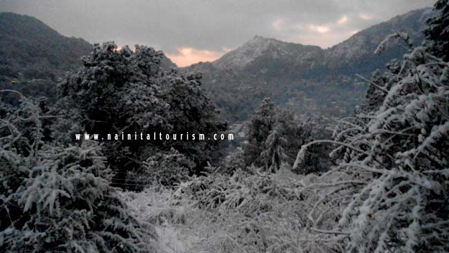 NAINITAL TOURISM : PICTURE GALLERY OF SNOWFALL