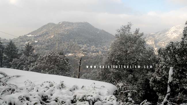 NAINITAL TOURISM : PICTURE GALLERY OF SNOWFALL