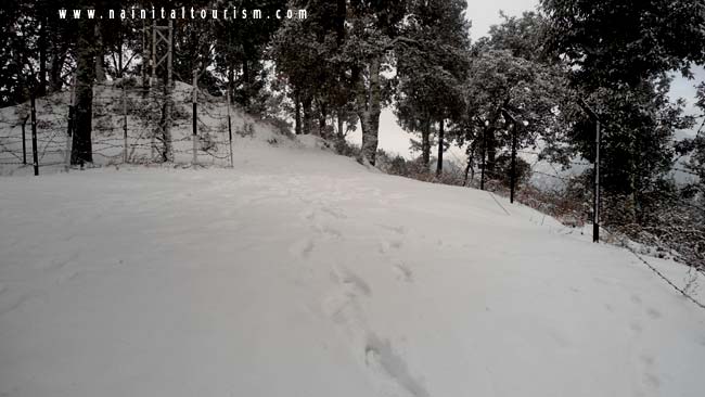 NAINITAL TOURISM : PICTURE GALLERY OF SNOWFALL