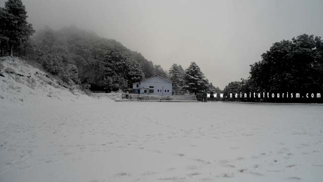 NAINITAL TOURISM : PICTURE GALLERY OF SNOWFALL