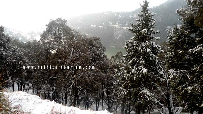 NAINITAL TOURISM : PICTURE GALLERY OF SNOWFALL