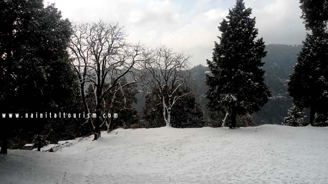 NAINITAL TOURISM : PICTURE GALLERY OF SNOWFALL