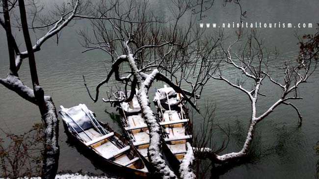 NAINITAL TOURISM : PICTURE GALLERY OF SNOWFALL