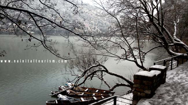 NAINITAL TOURISM : PICTURE GALLERY OF SNOWFALL