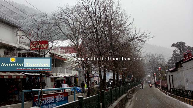 NAINITAL TOURISM : PICTURE GALLERY OF SNOWFALL