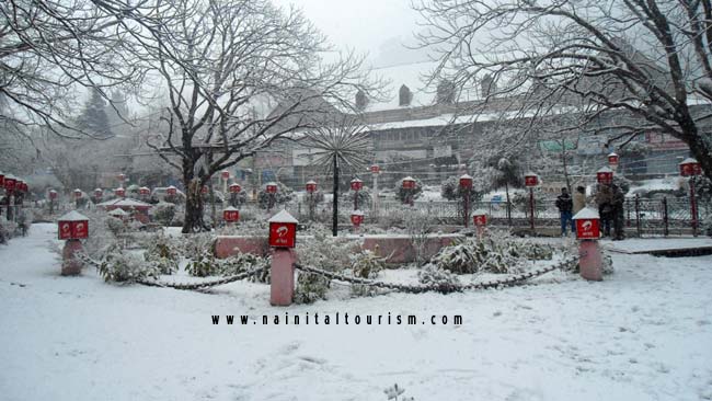 NAINITAL TOURISM : PICTURE GALLERY OF SNOWFALL